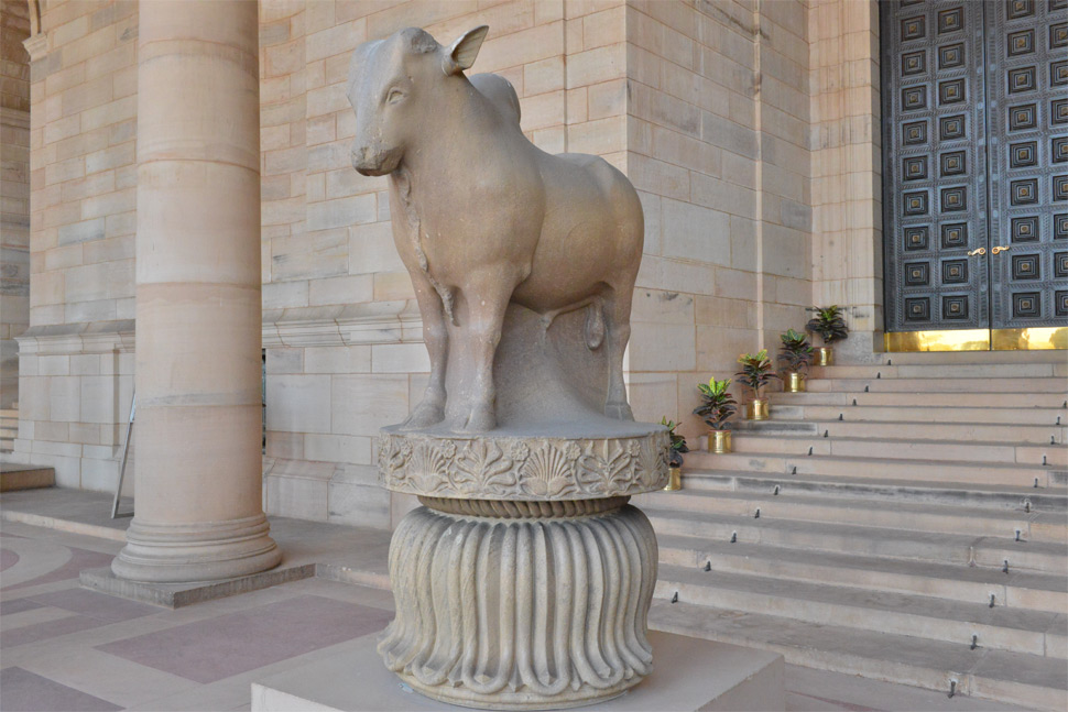 bull capital of rampurva