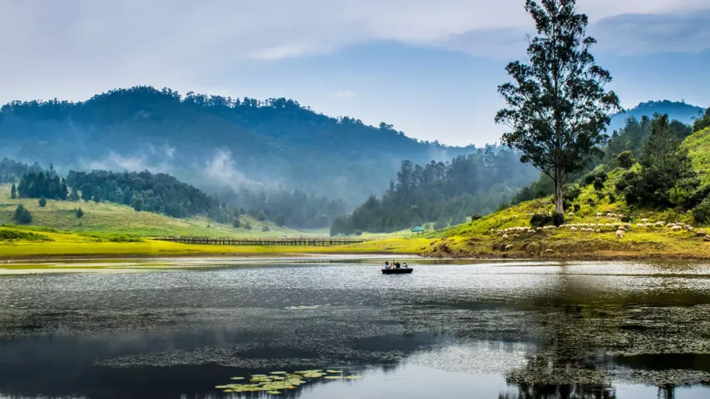 Artificial Lakes in India